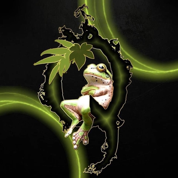 Meet your Posher, Qanonpatchouli - Picture 1 of 1